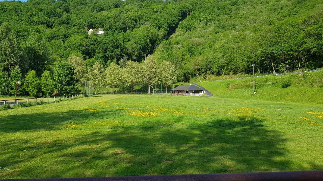 Village 17 Gites, Piscine, Restaurant , 2 Gites Avec Spa, 3Km De Conques Buitenkant foto