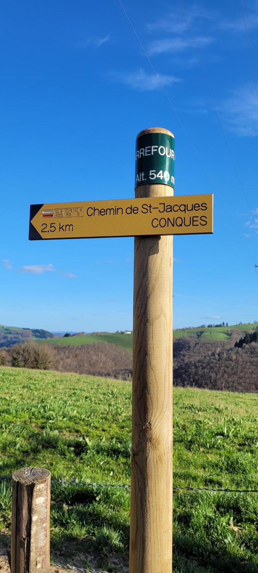 Village 17 Gites, Piscine, Restaurant , 2 Gites Avec Spa, 3Km De Conques Buitenkant foto